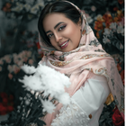 চটির রাজা-Choti Collection Zeichen