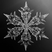 Real Snow  (Live Wallpaper) APK