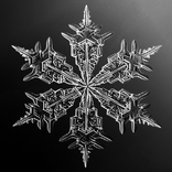 Real Snow  (Live Wallpaper)