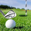 Mini Golf King 3D - Be Top Golf Champions APK