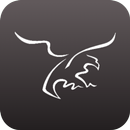 Golden Eagle APK