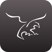 Golden Eagle