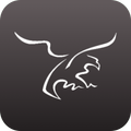 Golden Eagle