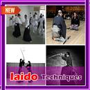 Iaido Techniques APK