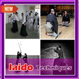 Iaido Techniques icon