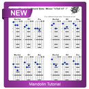 Mandolin Tutorial APK