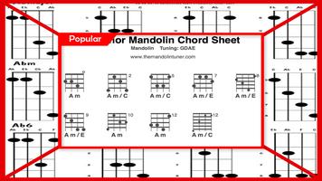Mandolin Tutorial 스크린샷 3