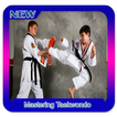 Mastering Taekwondo