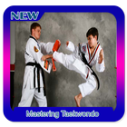Mastering Taekwondo icon