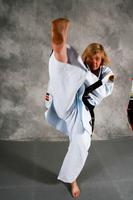 Mastering Taekwondo poster