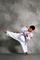 Mastering Taekwondo screenshot 1