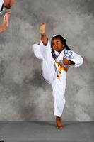 Mastering Taekwondo screenshot 2