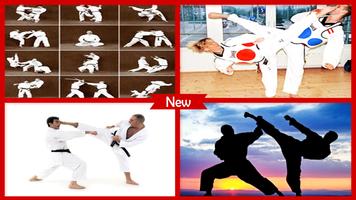 Mastering Taekwondo screenshot 3