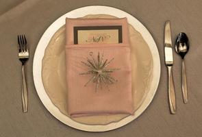 Napkin Fold Tutorial screenshot 2