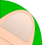 Thumb Area