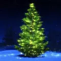 Weihnachts-Lieder 2025