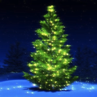 Christmas Music Songs 2024 icon