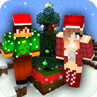 Christmas Craft icon