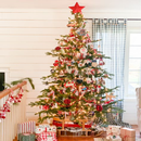 Christmas Tree Ideas & Designs APK
