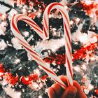 آیکون‌ Christmas Wallpaper