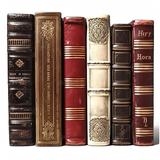 Christian Books Library APK