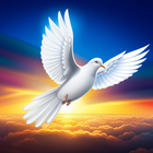 ЦитатыВеры Христианские Цитаты icono