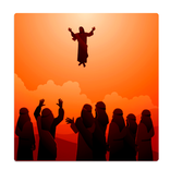 Apostles of Christ - Study