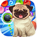 Pug Bubble APK