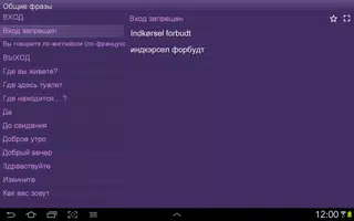 Датский разговорник screenshot 5