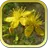 Лекарственные растения беспл. APK