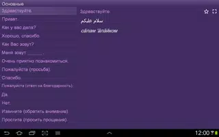Персидский (Фарси) разговорник screenshot 5