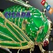 Cicada Ideas