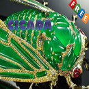 APK Cicada Ideas