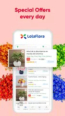 LolaFlora - Mexico XAPK download
