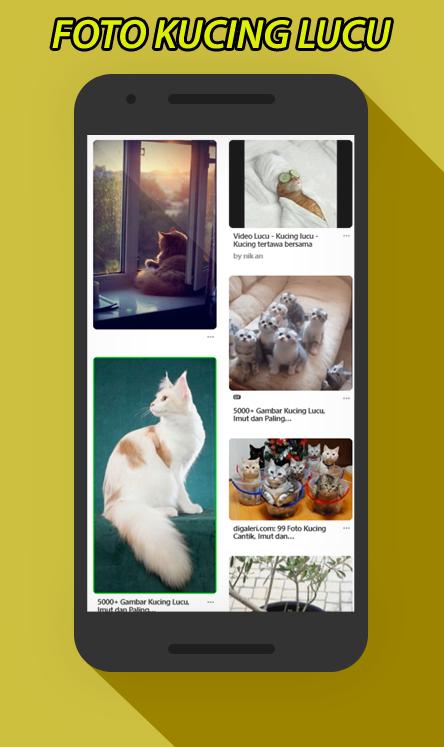 Gambar Foto Kucing Lucu For Android Apk Download