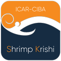 CIBA Shrimp Krishi
