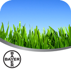 Backed by Bayer Zeichen