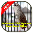 Masteran Ciblek Ngebren Gacor Juara Offline APK