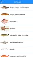 MadeiraFish Cartaz