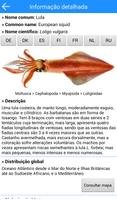 3 Schermata MadeiraFish
