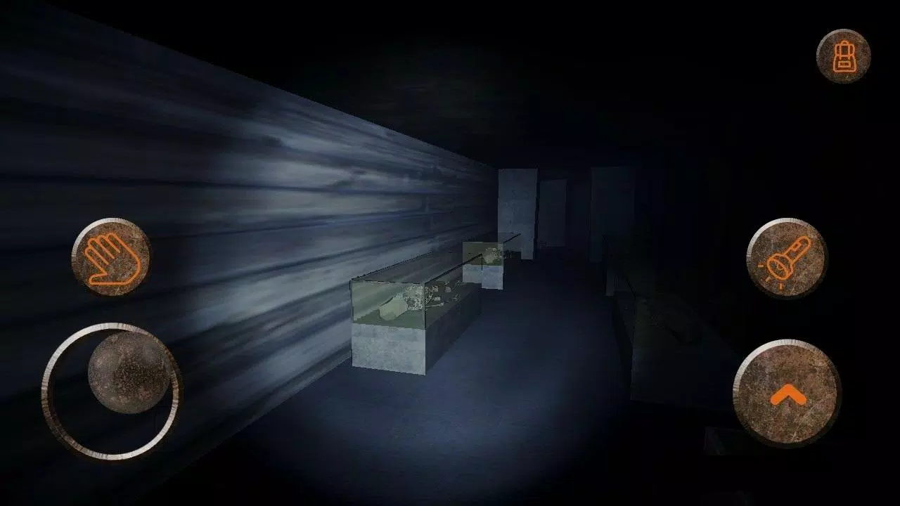 Lost in Catacombs Screenshots