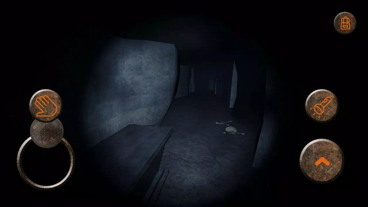Lost in Catacombs Screenshots