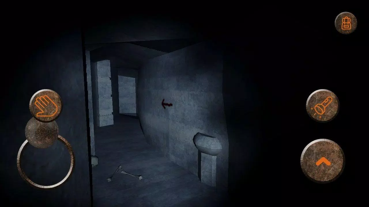 Lost in Catacombs Screenshots