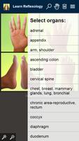 Learn Reflexology Areas ภาพหน้าจอ 1