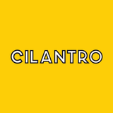 Cilantro icône