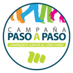 Paso a paso 2019 आइकन