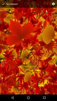 پوستر Autumn Leaves 2 Live Wallpaper