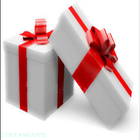 Gift Box Diy icon