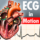 ECG in Motion Subscription-Ver icon