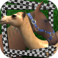 FeriaRacing